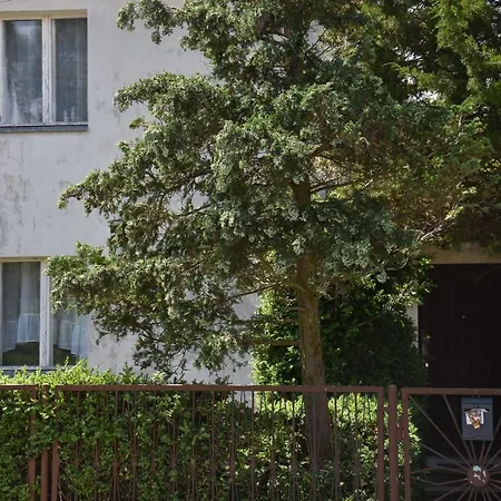 Goscinne U Eli Świnoujście